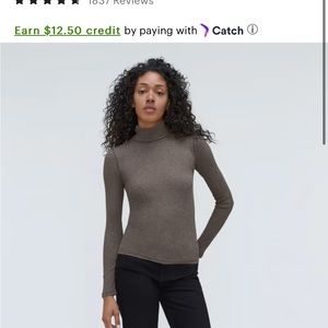 Everlane Pima Micro Rib Turtleneck
